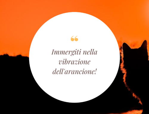 Arancione: ironica superficialità o saggia leggerezza?