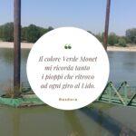 Verde nascita-crescita-speranza
