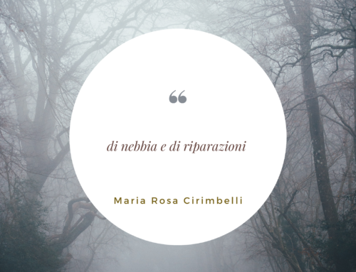 Di nebbia e di riparazioni
