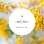 Giallo Mimosa