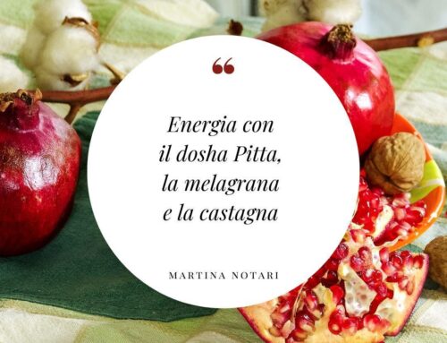 Energia con il dosha Pitta, la melagrana e la castagna