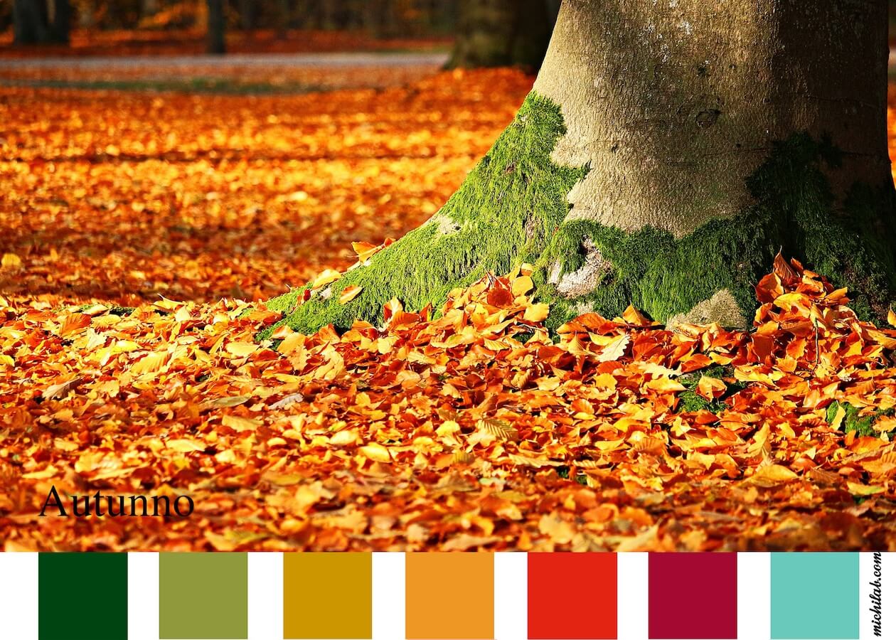 Palette autunno new (1)