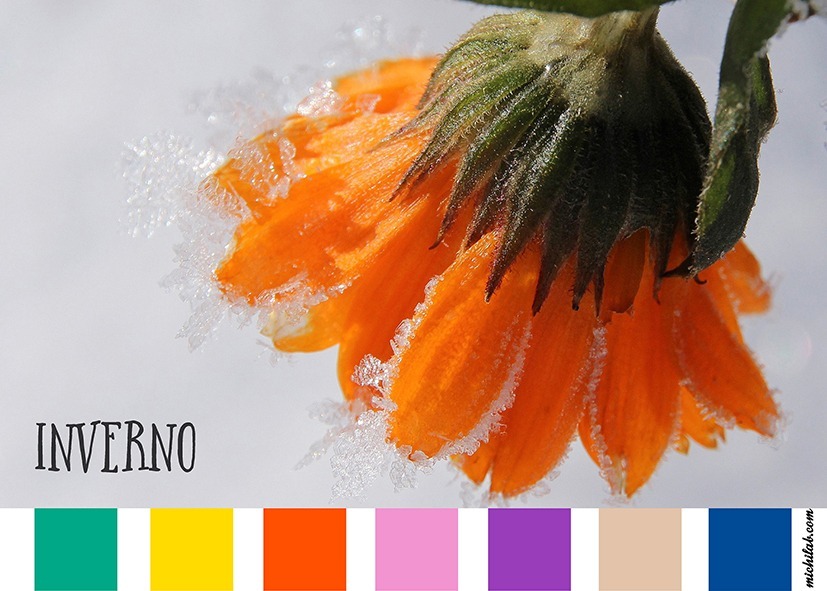 Palette inverno per test Colorlove